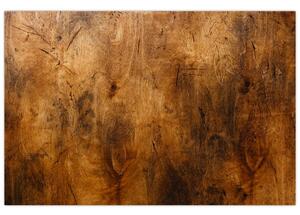 Obraz - Detail dreva (90x60 cm)