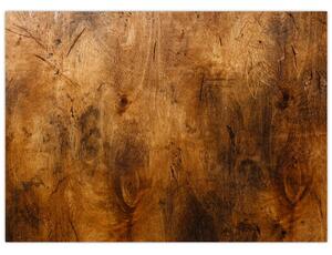 Obraz - Detail dreva (70x50 cm)