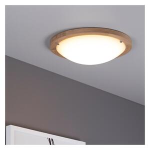 Spot-Light Stropné LED svietidlo FRIDA, 1xLED 13W, biele sklenené tienidlo, olejovaný dub