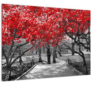 Sklenený obraz - Červené stromy, Central Park, New York (70x50 cm)