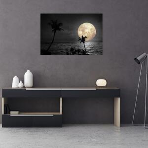 Obraz - Pláž za splnu v šedých tónoch (90x60 cm)