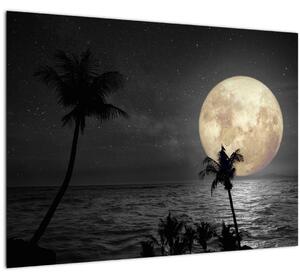 Obraz - Pláž za splnu v šedých tónoch (70x50 cm)