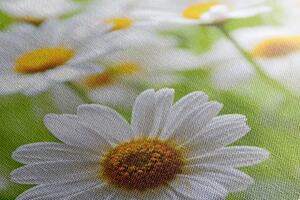 Obraz jarná lúka plná kvetov