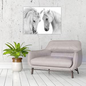 Obraz bielych koní (70x50 cm)