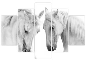 Obraz bielych koní (150x105 cm)