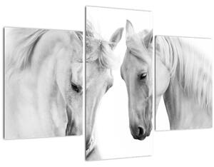 Obraz bielych koní (90x60 cm)