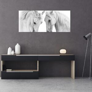 Obraz bielych koní (120x50 cm)