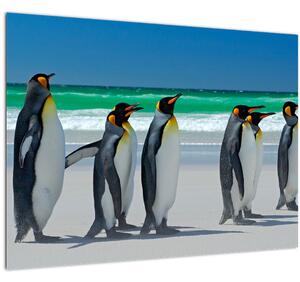 Obraz - Skupina kráľovských Tučniakov (70x50 cm)