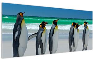 Obraz - Skupina kráľovských Tučniakov (120x50 cm)
