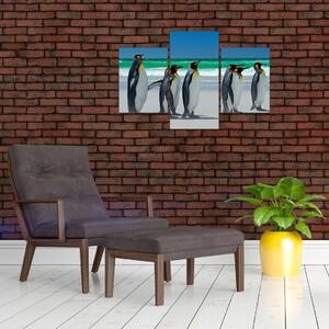 Obraz - Skupina kráľovských Tučniakov (90x60 cm)