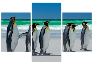 Obraz - Skupina kráľovských Tučniakov (90x60 cm)