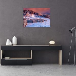 Obraz zimnej krajiny (70x50 cm)
