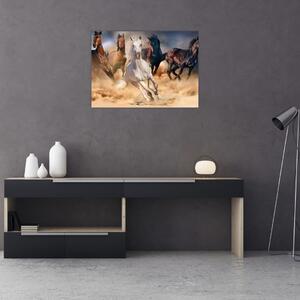 Obraz - Kone v púšti (70x50 cm)