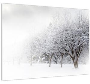 Obraz - Zimná alej (70x50 cm)