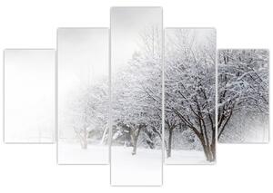 Obraz - Zimná alej (150x105 cm)