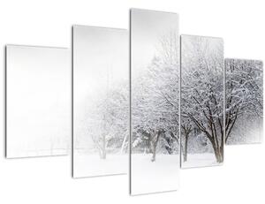 Obraz - Zimná alej (150x105 cm)