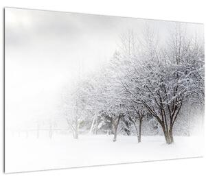 Obraz - Zimná alej (90x60 cm)