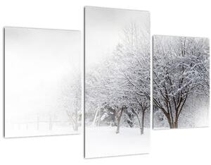 Obraz - Zimná alej (90x60 cm)