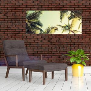 Obraz s kokosovými palmami (120x50 cm)