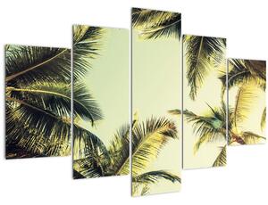Obraz s kokosovými palmami (150x105 cm)