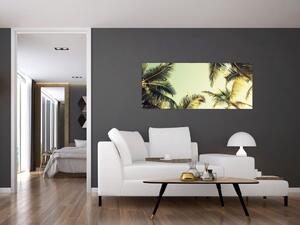 Obraz s kokosovými palmami (120x50 cm)