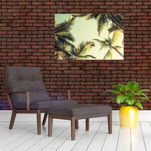 Obraz s kokosovými palmami (90x60 cm)