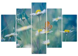 Obraz - Motýľ na sedmokráske (150x105 cm)