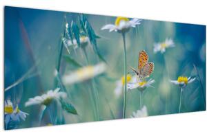Obraz - Motýľ na sedmokráske (120x50 cm)
