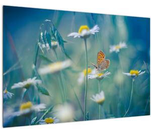 Obraz - Motýľ na sedmokráske (90x60 cm)