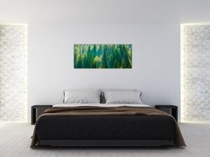 Obraz - Borovicový les (120x50 cm)