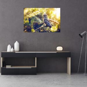 Obraz sovy na strome (90x60 cm)