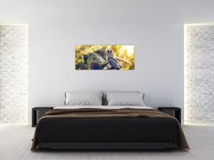 Obraz sovy na strome (120x50 cm)