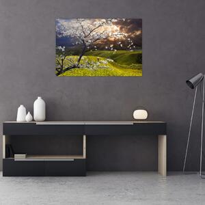Obraz - Rozkvitnutý strom v krajine (90x60 cm)