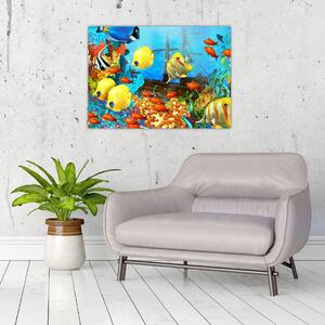 Obraz - Farebný koralový útes (70x50 cm)