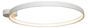 Zuma Line CIRCLE LA0769 Ø55 cm