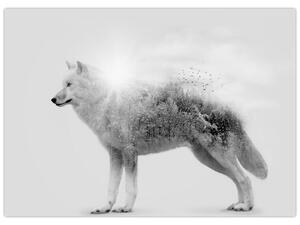 Obraz - Arktický vlk zrkadliaci divokú krajinu, čiernobiely (70x50 cm)