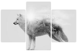 Obraz - Arktický vlk zrkadliaci divokú krajinu, čiernobiely (90x60 cm)