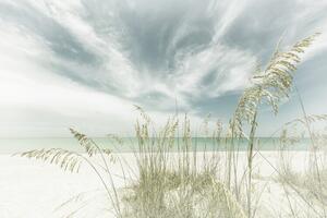 Fotografia Heavenly calmness on the beach | Vintage, Melanie Viola, (40 x 26.7 cm)