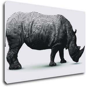 Impresi Obraz Nosorožec na bielom pozadí - 60 x 40 cm