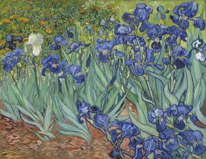 Gogh, Vincent van - Umelecká tlač Irises, 1889, (40 x 30 cm)