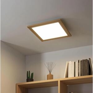Eglo - LED RGB Stmievateľný prisadený panel SALOBRENA-C LED/24W/230V hnedá + DO