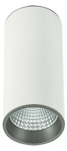 Italux SLC7392 / WH + GR LED stropné bodové svietidlo Moldes 1x12W | 4000K