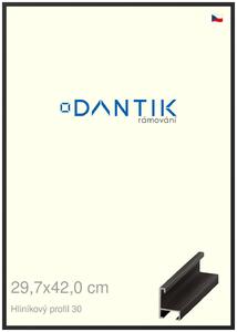 DANTIK rám na obraz 29,7x42 | ALU Černá matná (Plexi Čiré)