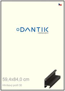 DANTIK rám na obraz 59,4x84 | ALU Černá matná (Plexi Čiré)