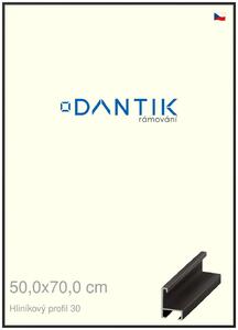 DANTIK rám na obraz 50x70 | ALU Černá matná (Plexi Čiré)