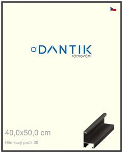 DANTIK rám na obraz 40x50 | ALU Černá matná (Sklo Čiré)
