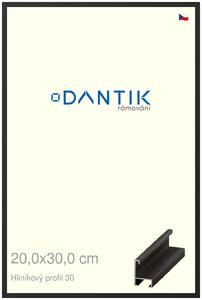 DANTIK rám na obraz 20x30 | ALU Černá matná (Sklo Čiré)