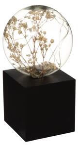 Atmosphera - LED stolová lampa MICRO LED/2xAAA antracitová