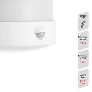 Telefunken 315506TF-LED Vonkajšie nástenné svietidlo so senzorom LED/12W/230V IP44