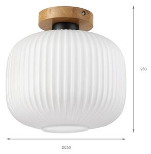 Stropné svietidlo HARMA WOOD 1xE27/15W/230V dub/biela priemer 25 cm